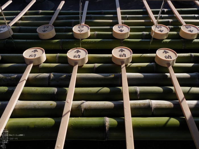 PENTAX_Q_2012東大寺_11.jpg