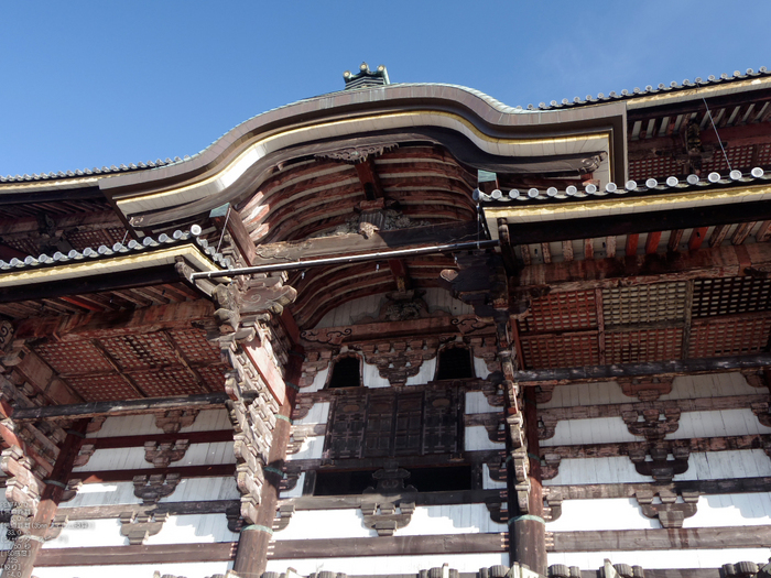 PENTAX_Q_2012東大寺_13.jpg