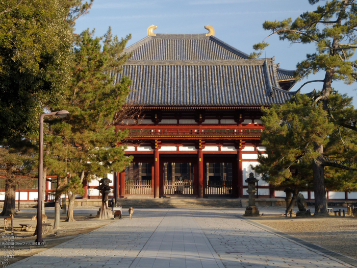 PENTAX_Q_2012東大寺_17.jpg