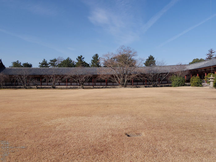 PENTAX_Q_2012東大寺_28.jpg