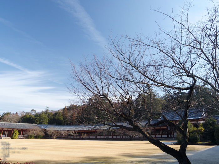 PENTAX_Q_2012東大寺_29.jpg