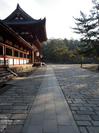 PENTAX_Q_2012東大寺_3.jpg