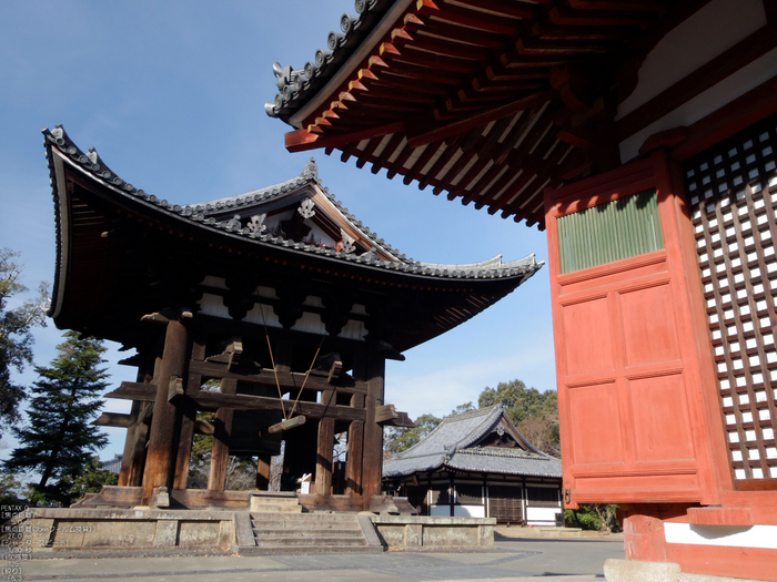 PENTAX_Q_2012東大寺_33.jpg