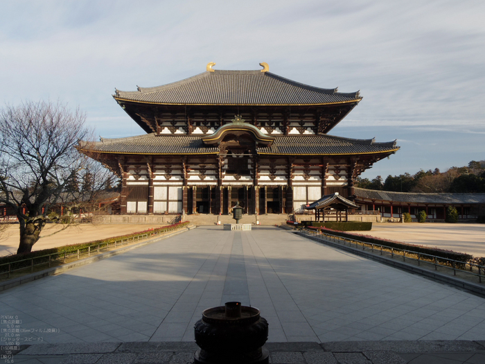 PENTAX_Q_2012東大寺_5.jpg