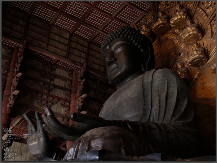 PENTAX_Q_2012東大寺_top2.jpg