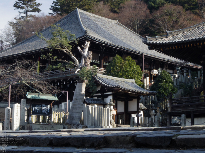 東大寺二月堂_2012_PENTAX_Q_2.jpg