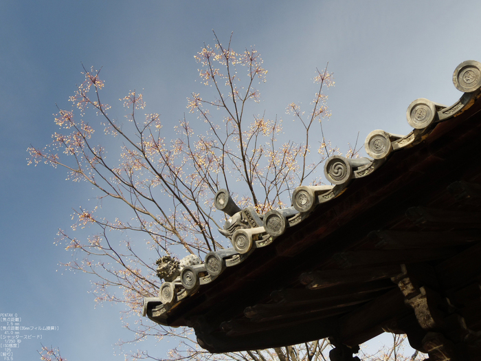 東大寺二月堂_2012_PENTAX_Q_26.jpg