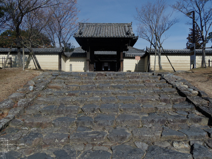 東大寺二月堂_2012_PENTAX_Q_27.jpg