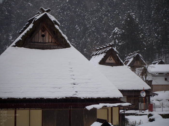 2012美山かやぶきの里雪灯廊_PENTAX_Q_22.jpg