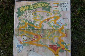 賀名生梅林_2012_yaotomi_22.jpg