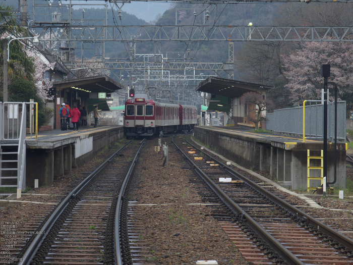 吉野山_桜_その１_2012_yaotomi_65.jpg