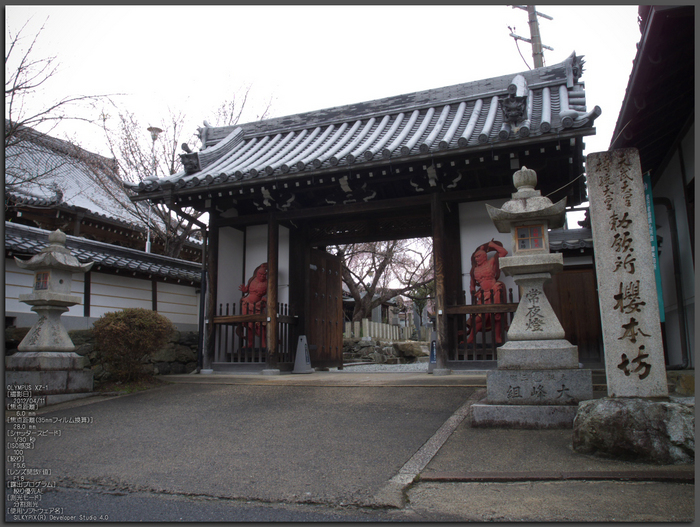 吉野山_桜_その１_2012_yaotomi_top5.jpg