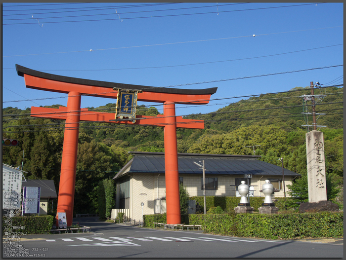 松尾大社_やまぶき_2012_OM-D-E-M5_yaotomi_top1.jpg