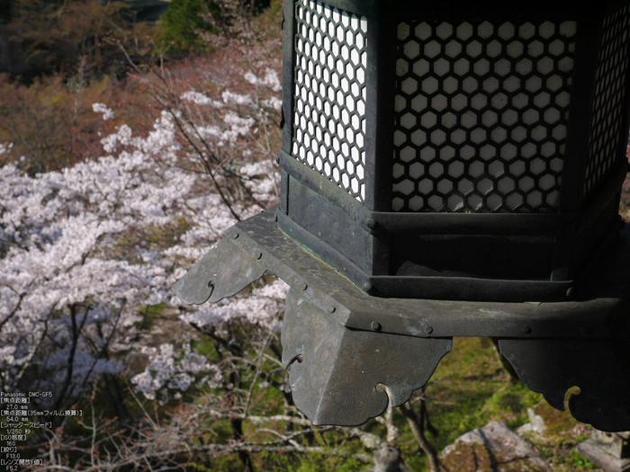 談山神社_桜_2012_GF5_yaotomi_6.jpg