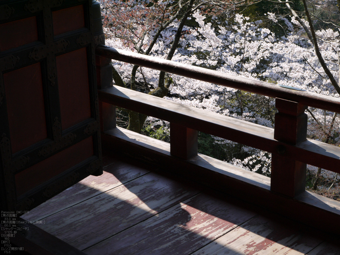 談山神社_桜_2012_GF5_yaotomi_7.jpg