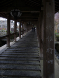 長谷寺_桜_2012_yaotomi_5.jpg