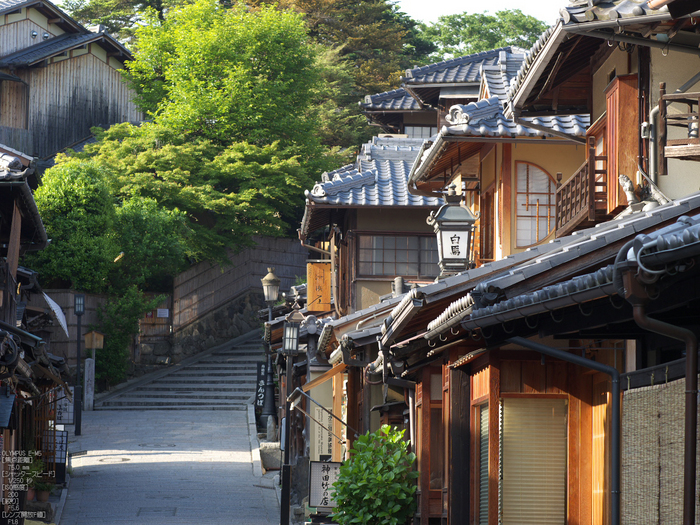 M.ZUIKO_DIGITAL_ED_75mm_F1.8_産寧坂_yaotomi_22.jpg