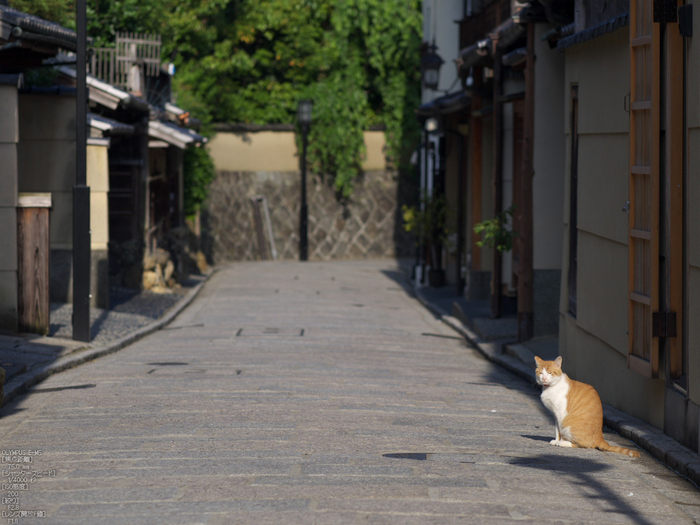 M.ZUIKO_DIGITAL_ED_75mm_F1.8_産寧坂_yaotomi_25.jpg