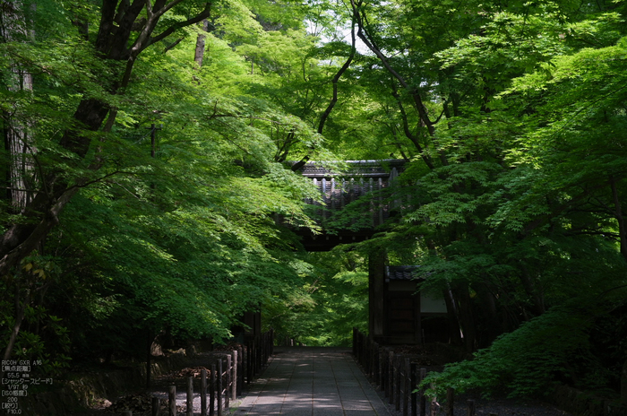 RICOH_GXR_A16_光明寺・新緑_2012_yaotomi_12.jpg