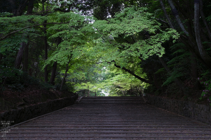 RICOH_GXR_A16_光明寺・新緑_2012_yaotomi_2.jpg