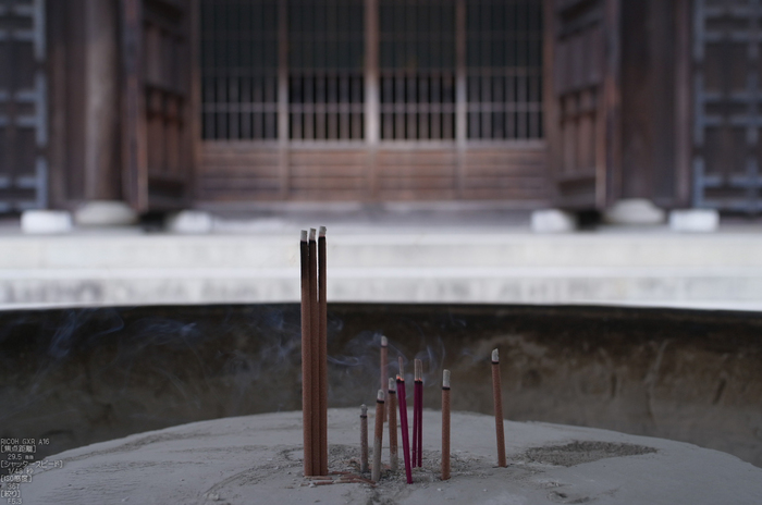 RICOH_GXR_A16_南禅寺・新緑_2012_yaotomi_12.jpg