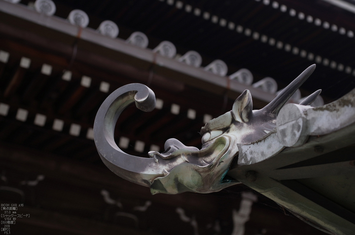 RICOH_GXR_A16_南禅寺・新緑_2012_yaotomi_13.jpg