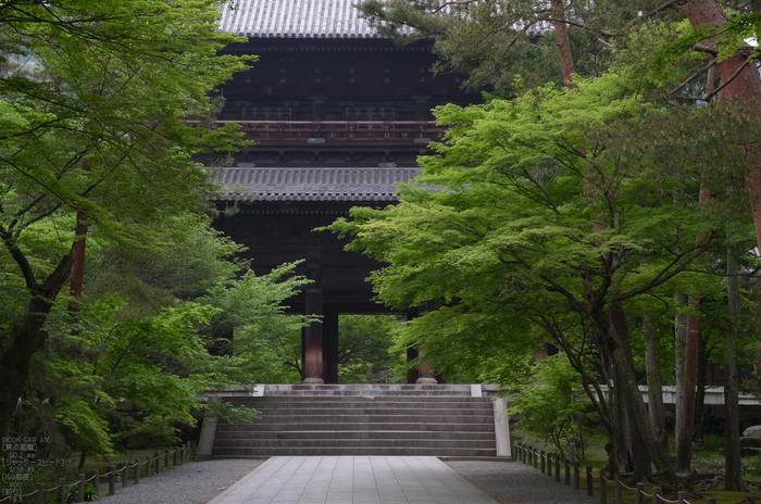 RICOH_GXR_A16_南禅寺・新緑_2012_yaotomi_2.jpg