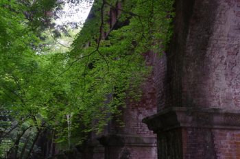 RICOH_GXR_A16_南禅寺・新緑_2012_yaotomi_29_2.jpg