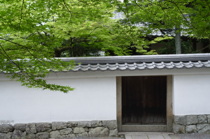 RICOH_GXR_A16_南禅寺・新緑_2012_yaotomi_36.jpg