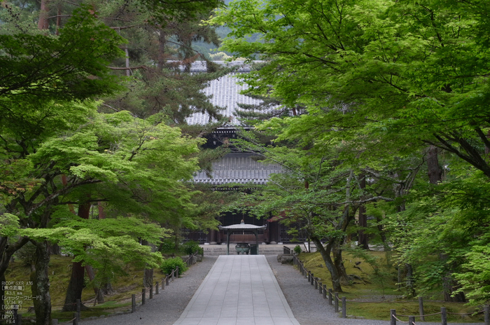 RICOH_GXR_A16_南禅寺・新緑_2012_yaotomi_7.jpg