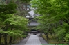 RICOH_GXR_A16_南禅寺・新緑_2012_yaotomi_7full.jpg