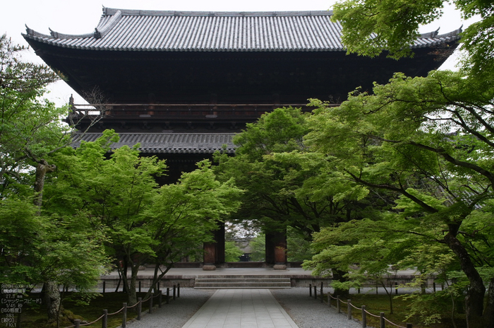 RICOH_GXR_A16_南禅寺・新緑_2012_yaotomi_8.jpg