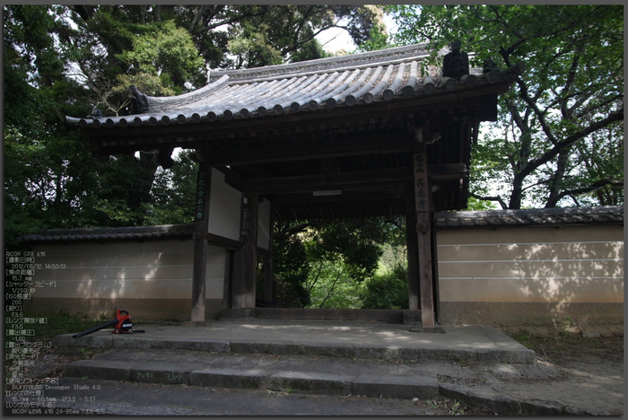 RICOH_GXR_A16_長岳寺・杜若_2012_yaotomi_top1.jpg