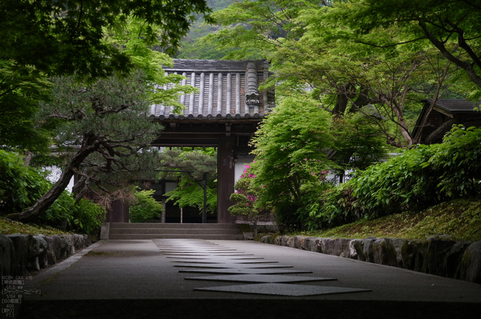 RICOH_GXR_A16_高徳庵・新緑_2012_yaotomi_31.jpg