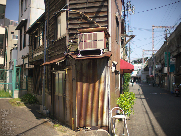 大阪ドーム_みんな大好き!ペット王国_NOKTON17.5mmF0.95_yaotomi_11.jpg