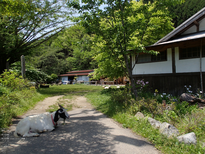 東吉野_大又渓谷_OLYMPUS_TOUGH_TG-1_yaotomi_18.jpg