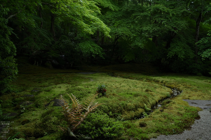 瑠璃光院_RICOH_GXR_A16_yaotomi_15.jpg