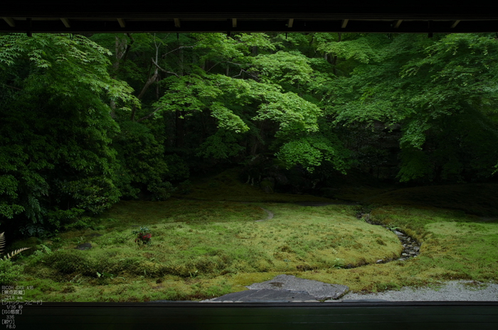 瑠璃光院_RICOH_GXR_A16_yaotomi_8.jpg