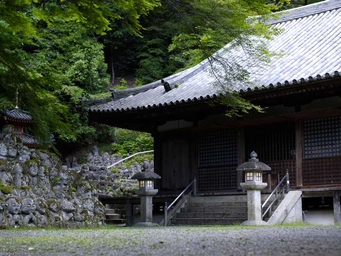 PhaseOne_P30+_愛宕念仏寺_yaotomi_お写ん歩_7.jpg