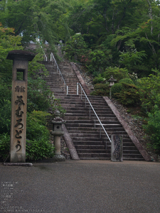 三室戸寺_紫陽花_2012_yaotomi_お写ん歩_22.jpg