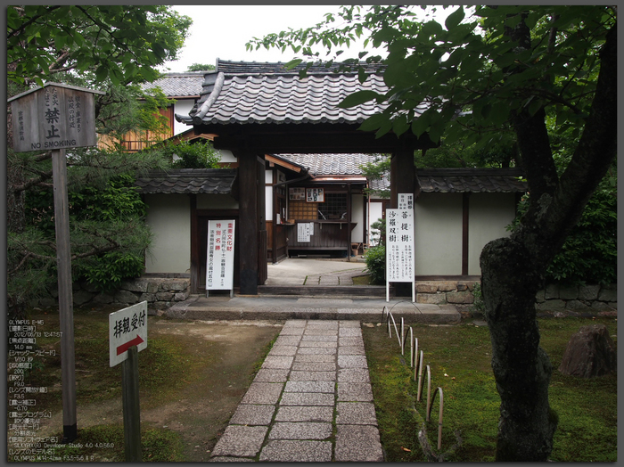 法金剛院_菖蒲_2012_yaotomi_お写ん歩_top1.jpg