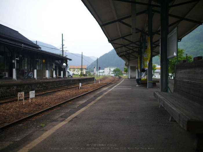 長良川鉄道_NOKTON_yaotomi_osyanpo_12.jpg