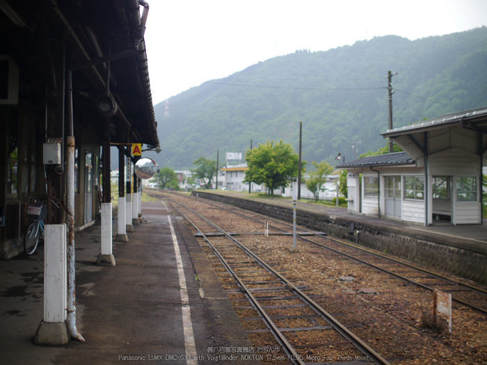 長良川鉄道_NOKTON_yaotomi_osyanpo_5.jpg