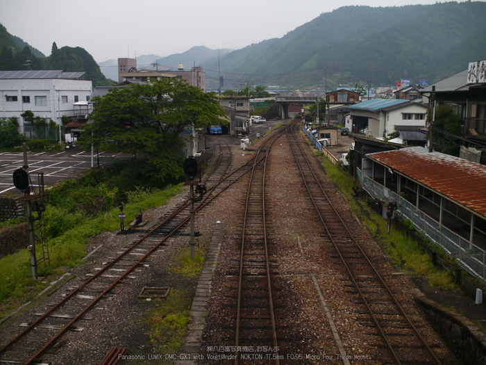 長良川鉄道_NOKTON_yaotomi_osyanpo_7.jpg