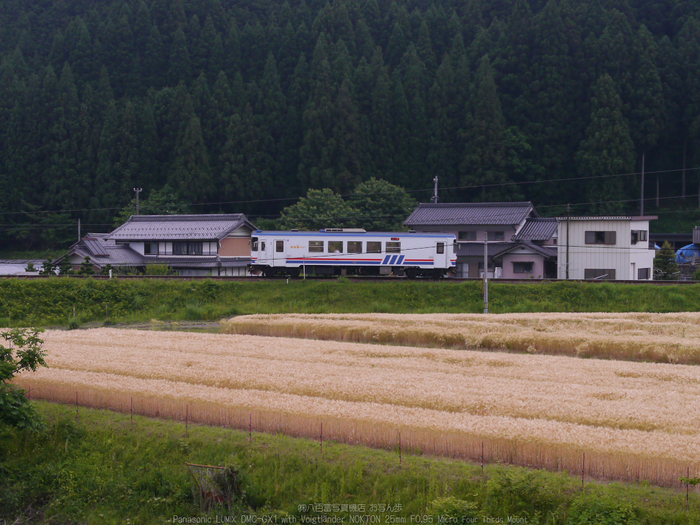 長良川鉄道_ノクトン17.5mm_yaotomi_お写ん歩_21.jpg