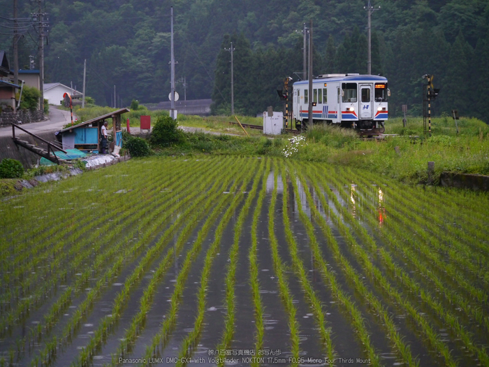 長良川鉄道_ノクトン17.5mm_yaotomi_お写ん歩_23.jpg