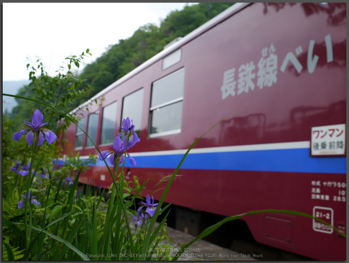 長良川鉄道_ノクトン17.5mm_yaotomi_お写ん歩_top2.jpg