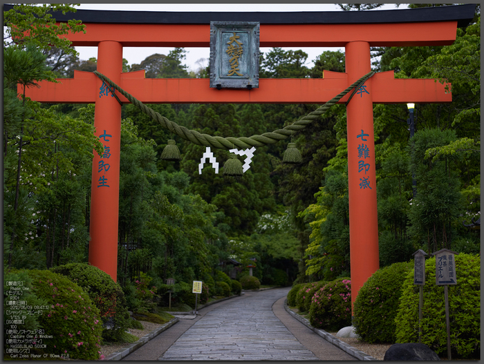 霊山寺_フェーズワン_P30+_ハッセルブラッド_yaotomi_お写ん歩_top1.jpg