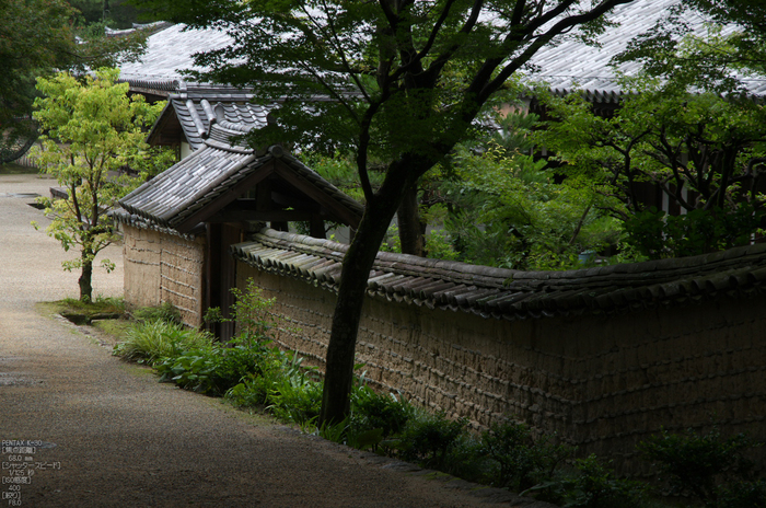 唐招提寺_蓮_2012_yaotomi_お写ん歩_10.jpg