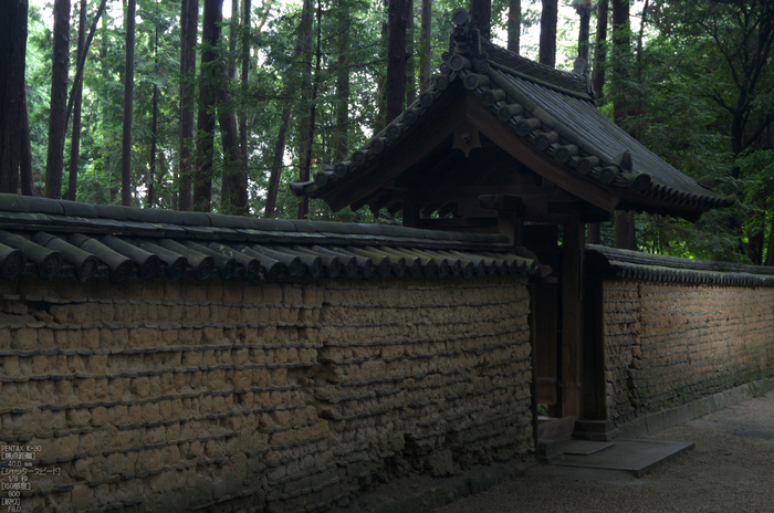 唐招提寺_蓮_2012_yaotomi_お写ん歩_11.jpg